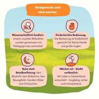 Sieben kleine Hasen